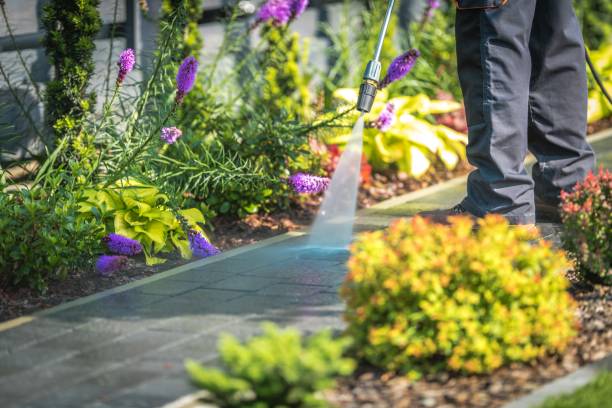Best Winterizing Services  in Diand, MO