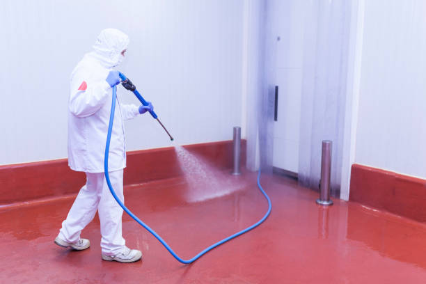 Trusted Diamond, MO Pressure Washing Services Experts